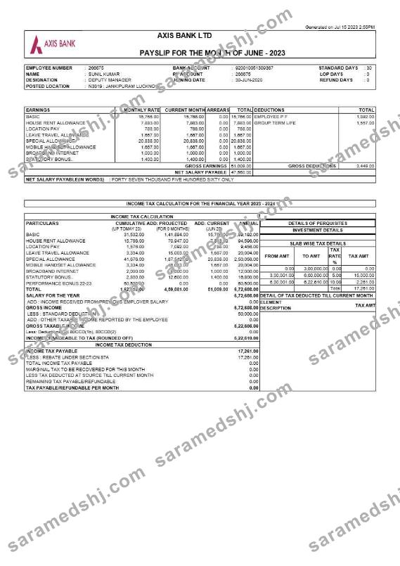 Axis Bank payslip template in Word and PDF formats.pdf, 1